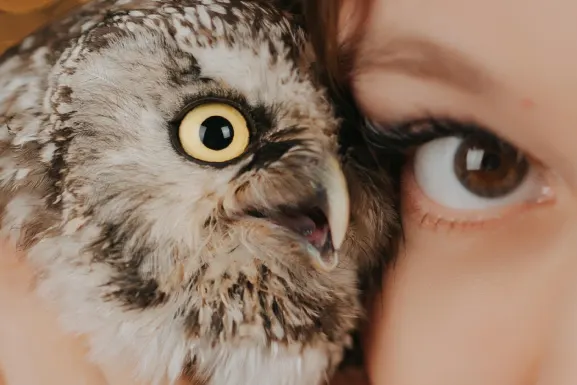 Lottomart Casino Tacaíocht